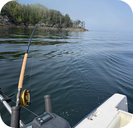 Fishing off boat with fishing rod hanging off side and island covered with forest in front of water